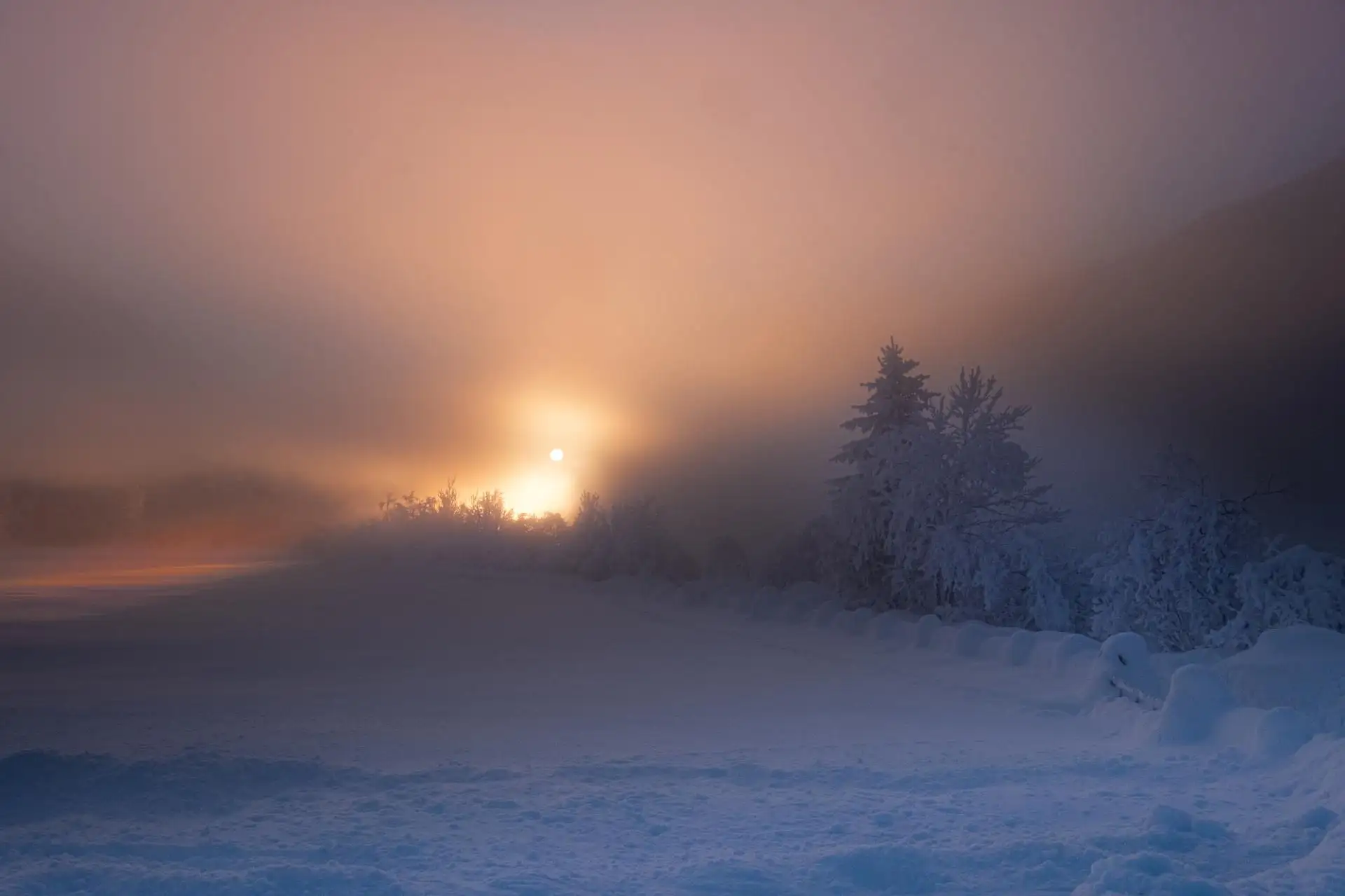Frühbucherbonus für Schnellentschlossene